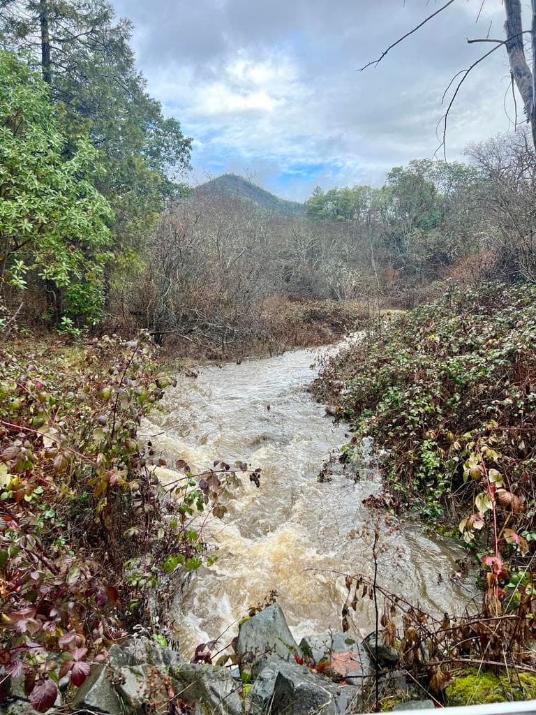 Photo of 2231 Humbug Creek 2 of 80