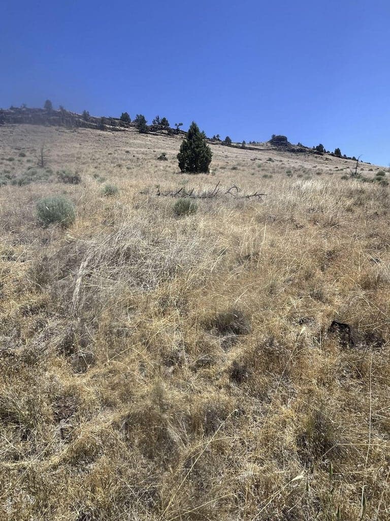 Photo of Hill 1 of 12