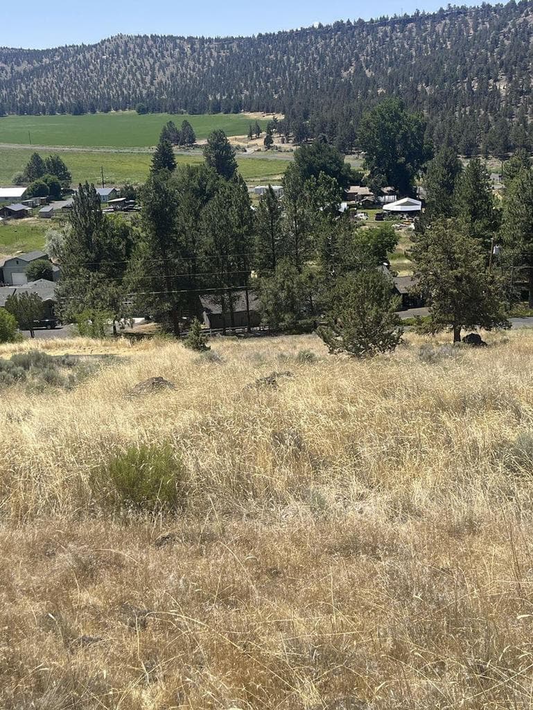 Photo of Hill 4 of 12