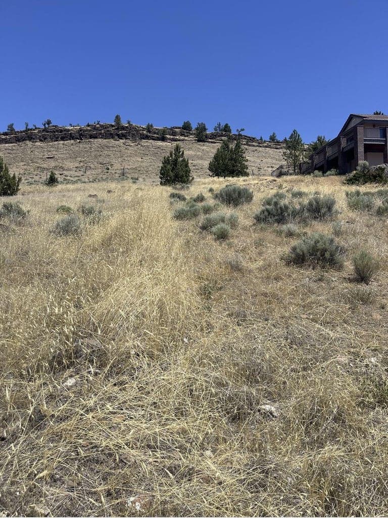 Photo of Hill 5 of 12