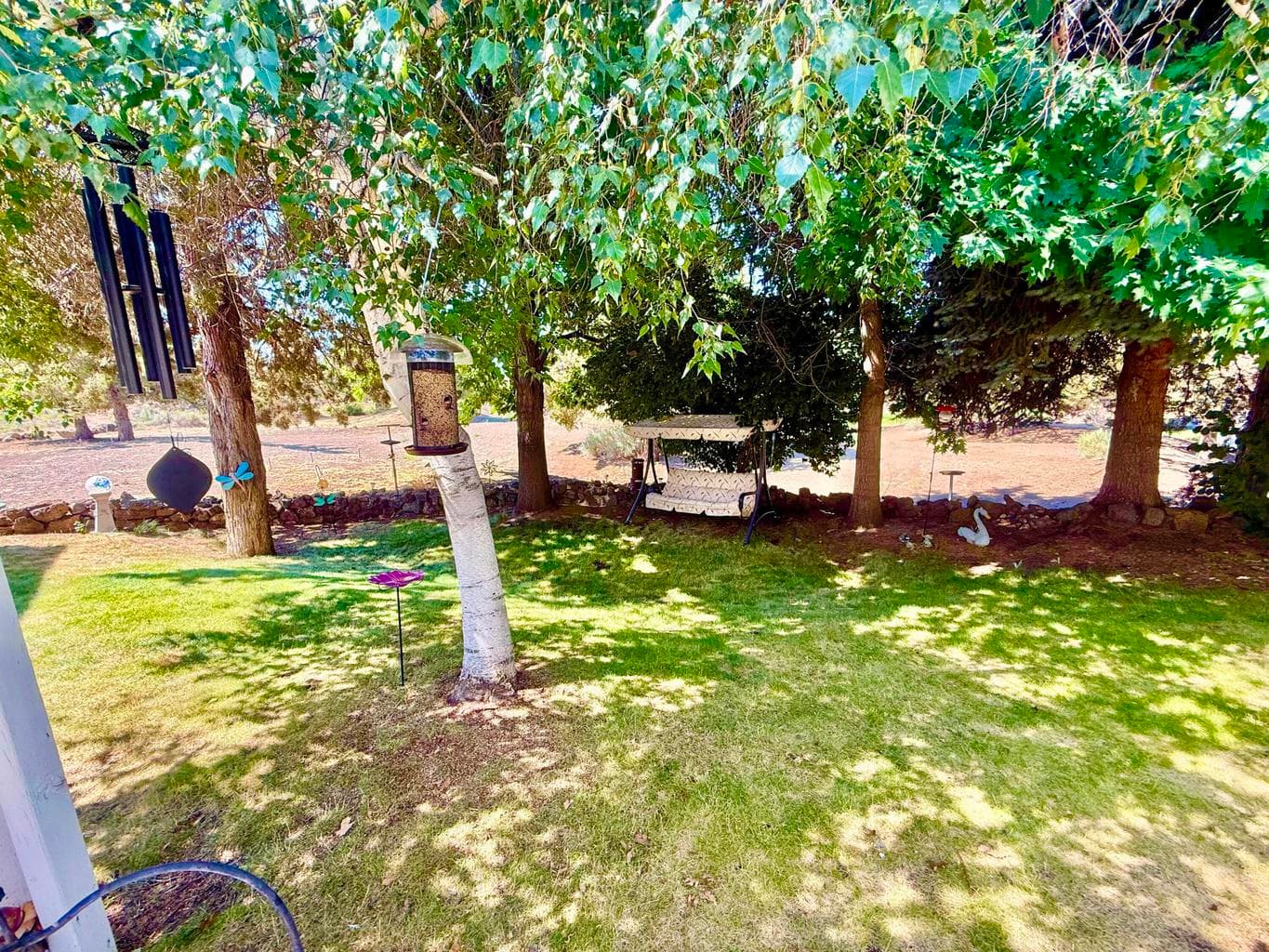 Nature oasis out back