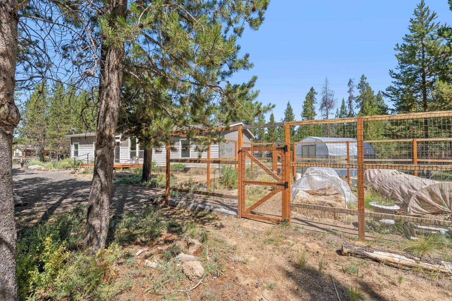 7 ft fenced in garden