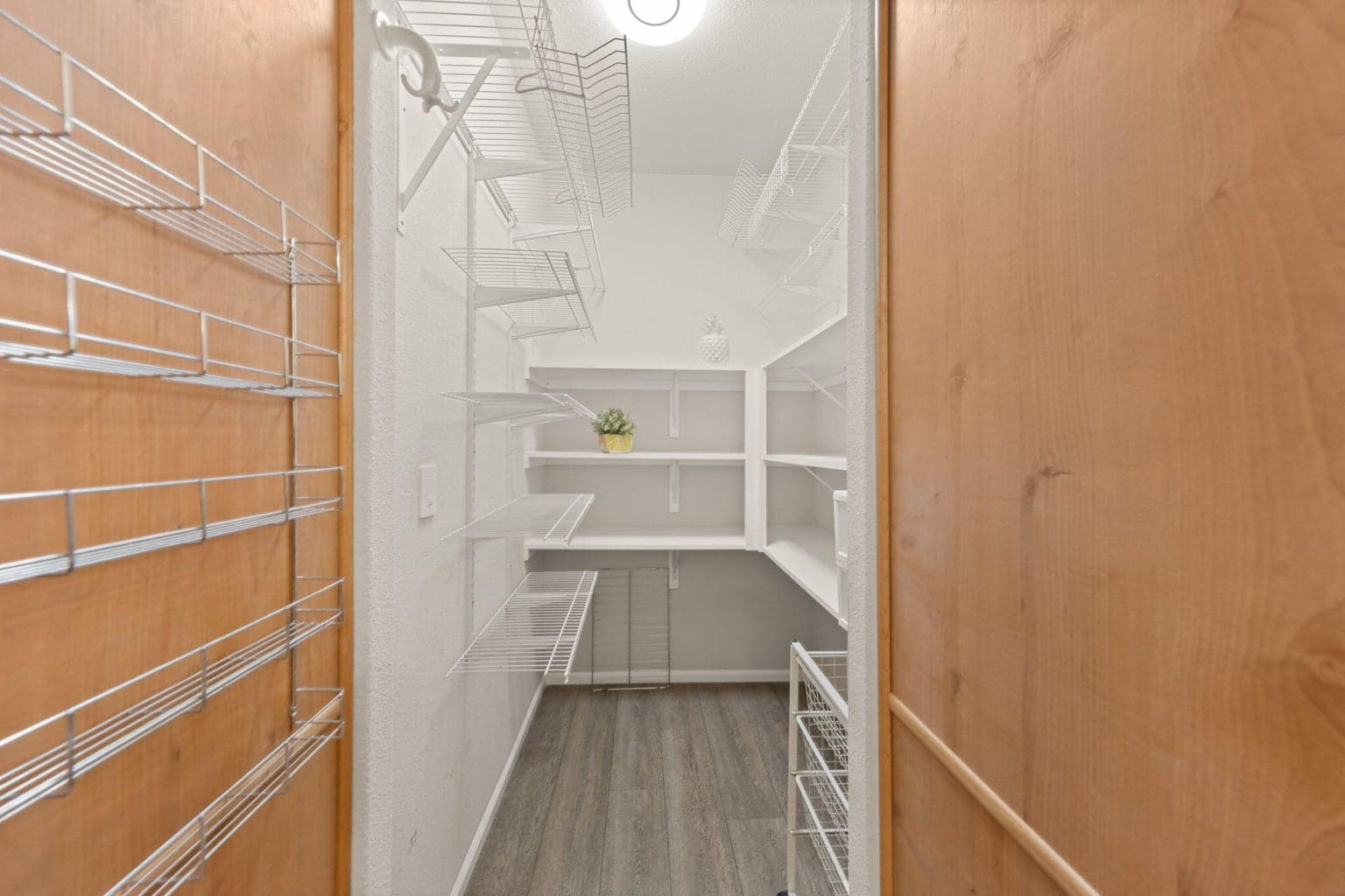Large hidden pantry