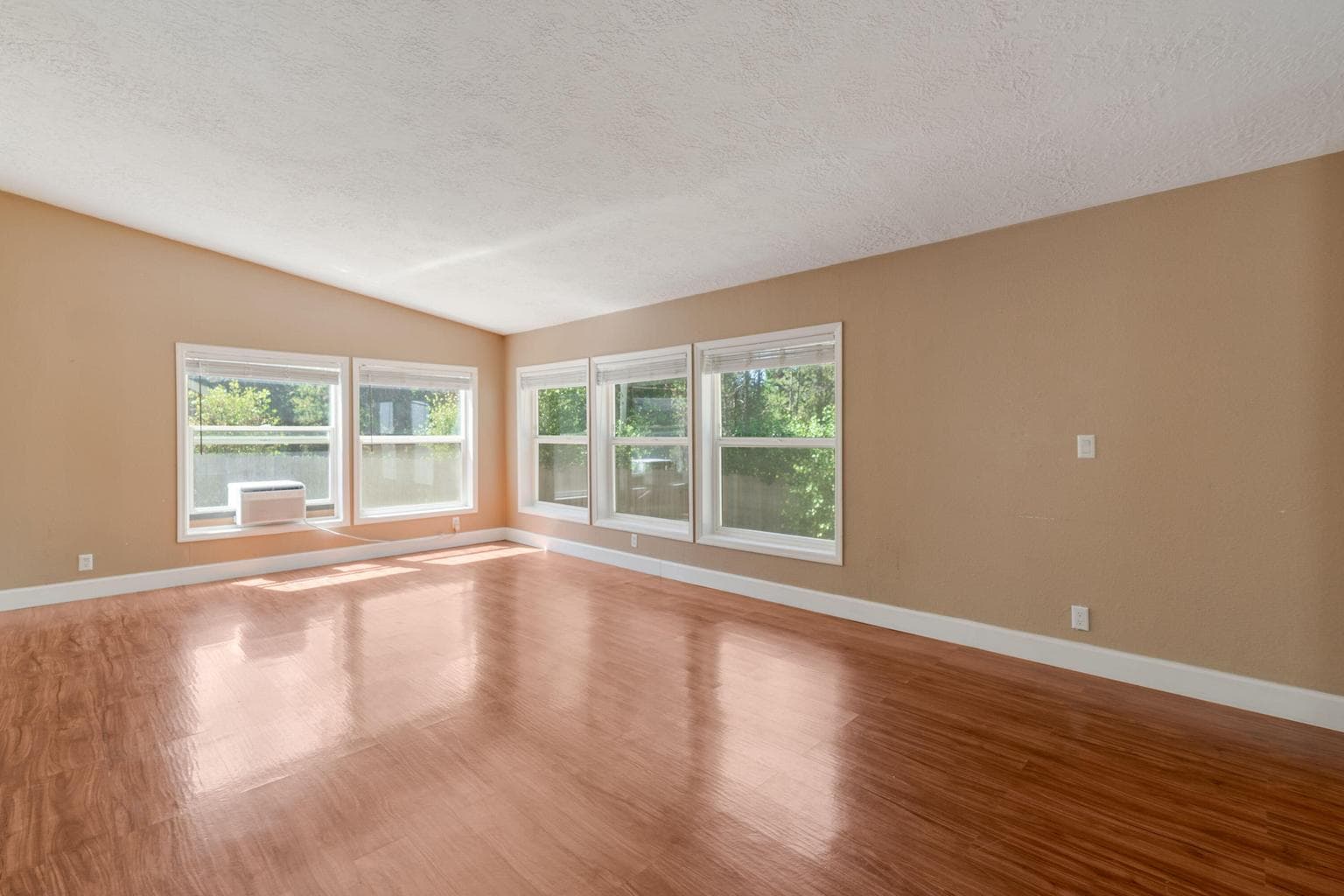 Living Room with abundant light.