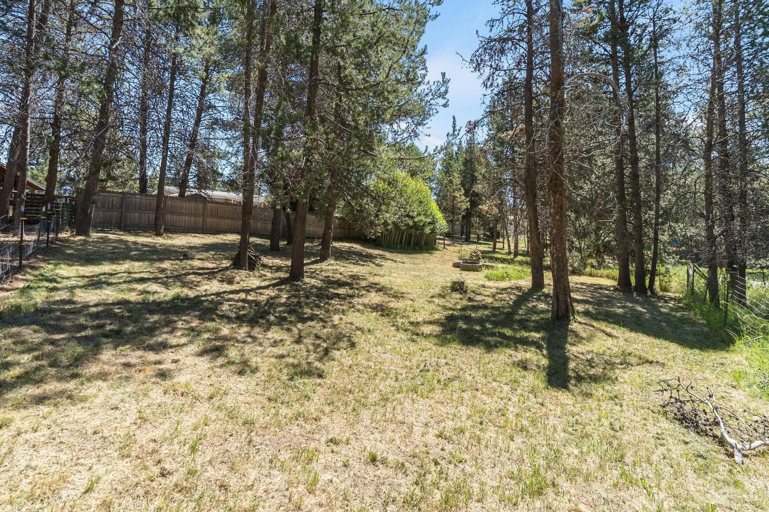 Wooded area in back behind fenced area.