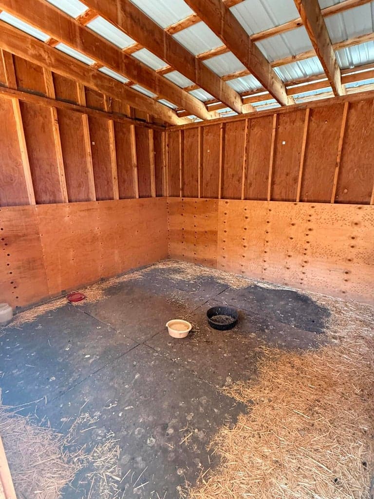 interior of horse stall w/rubber mats