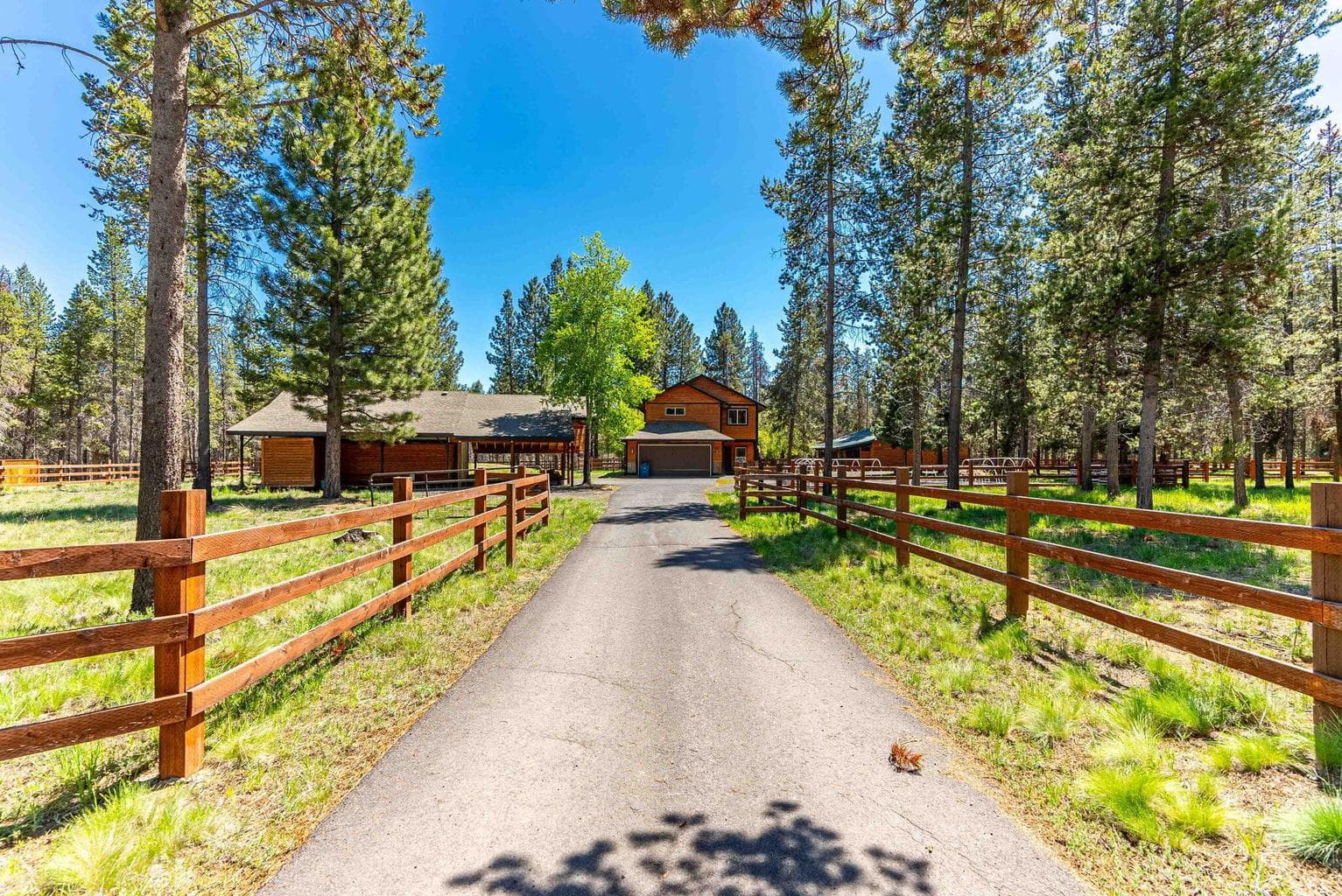 Long driveway flanked on each side by your fenced property
