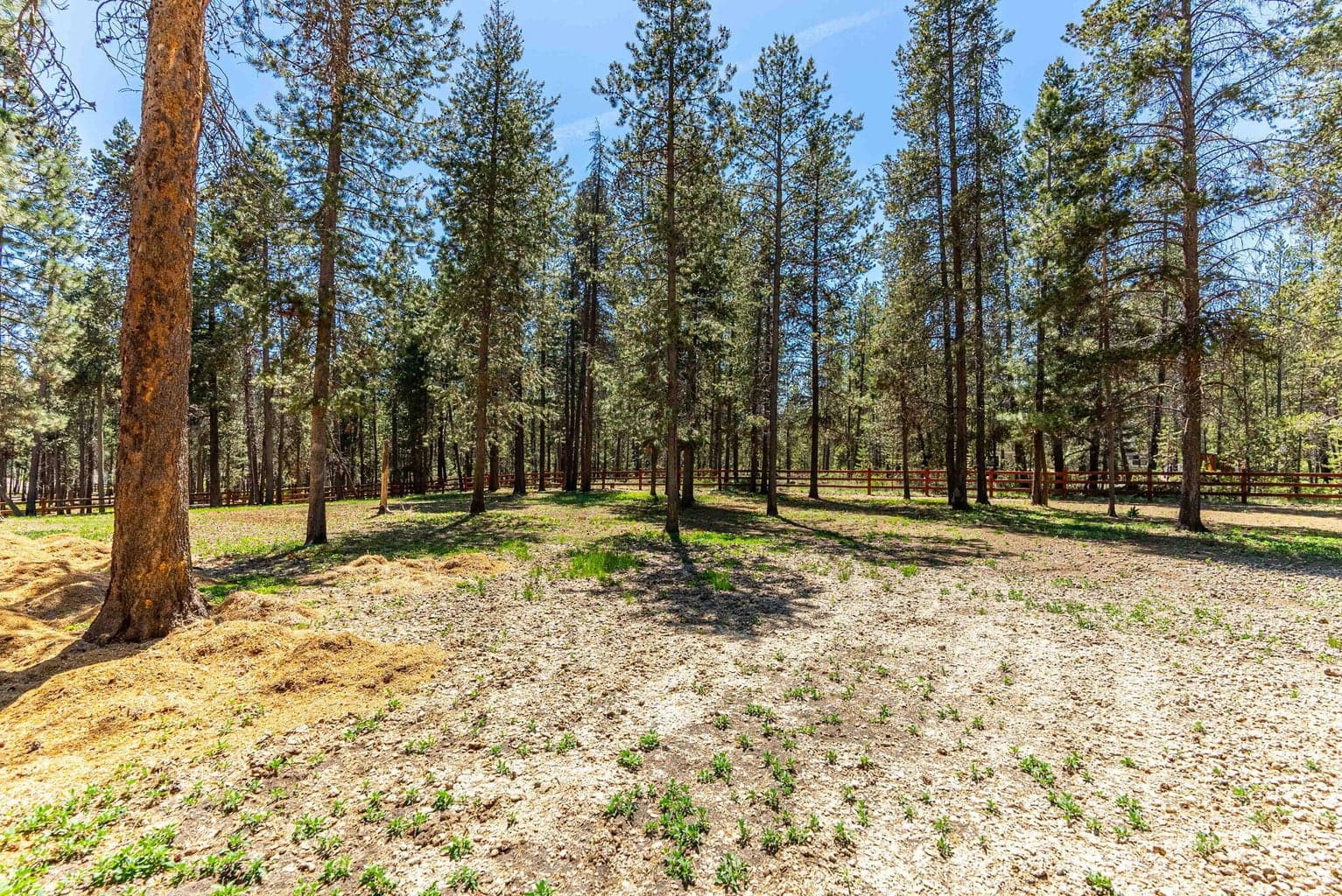 Fire mitigated trees