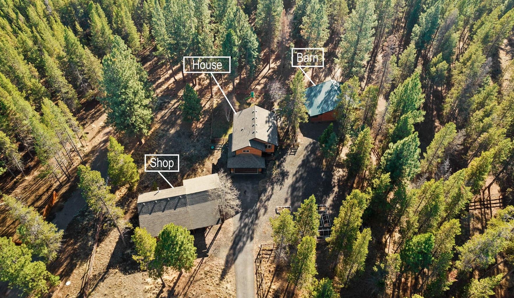 Overhead wooded view