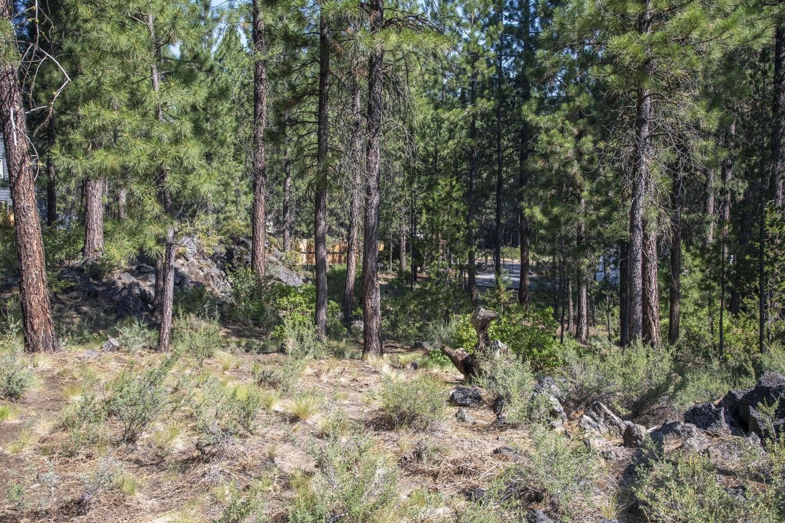 Photo of 16945 Jacinto 2 of 22