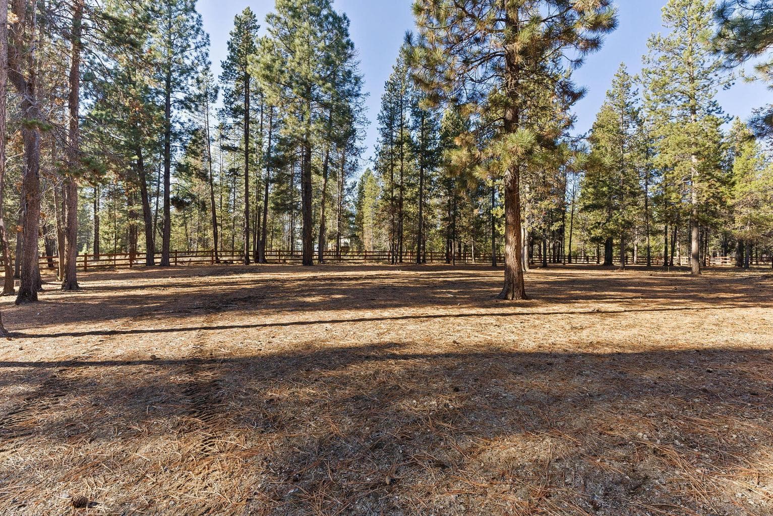 So much space and privacy!