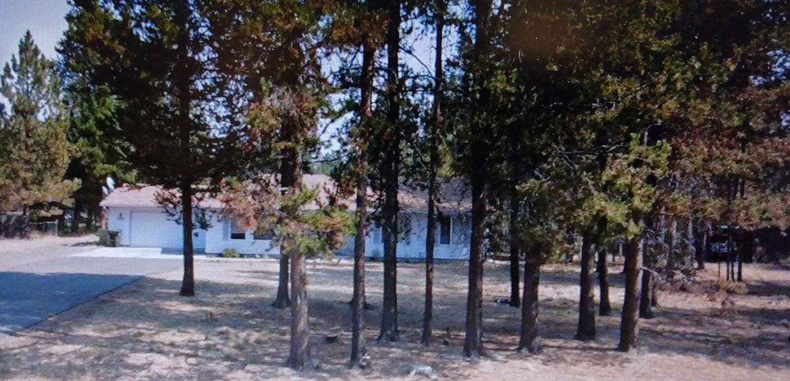 Photo of 52466 Lost Ponderosa 2 of 37
