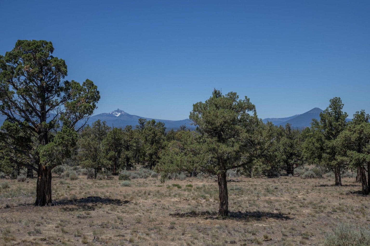 Photo of 1061 Trail Creek Drive 28 of 34