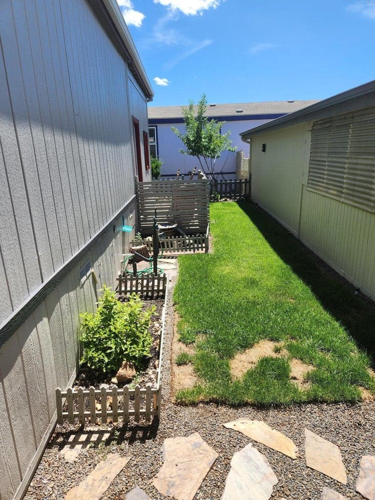 Grassy fenced backyard, backyard has sprinklers.