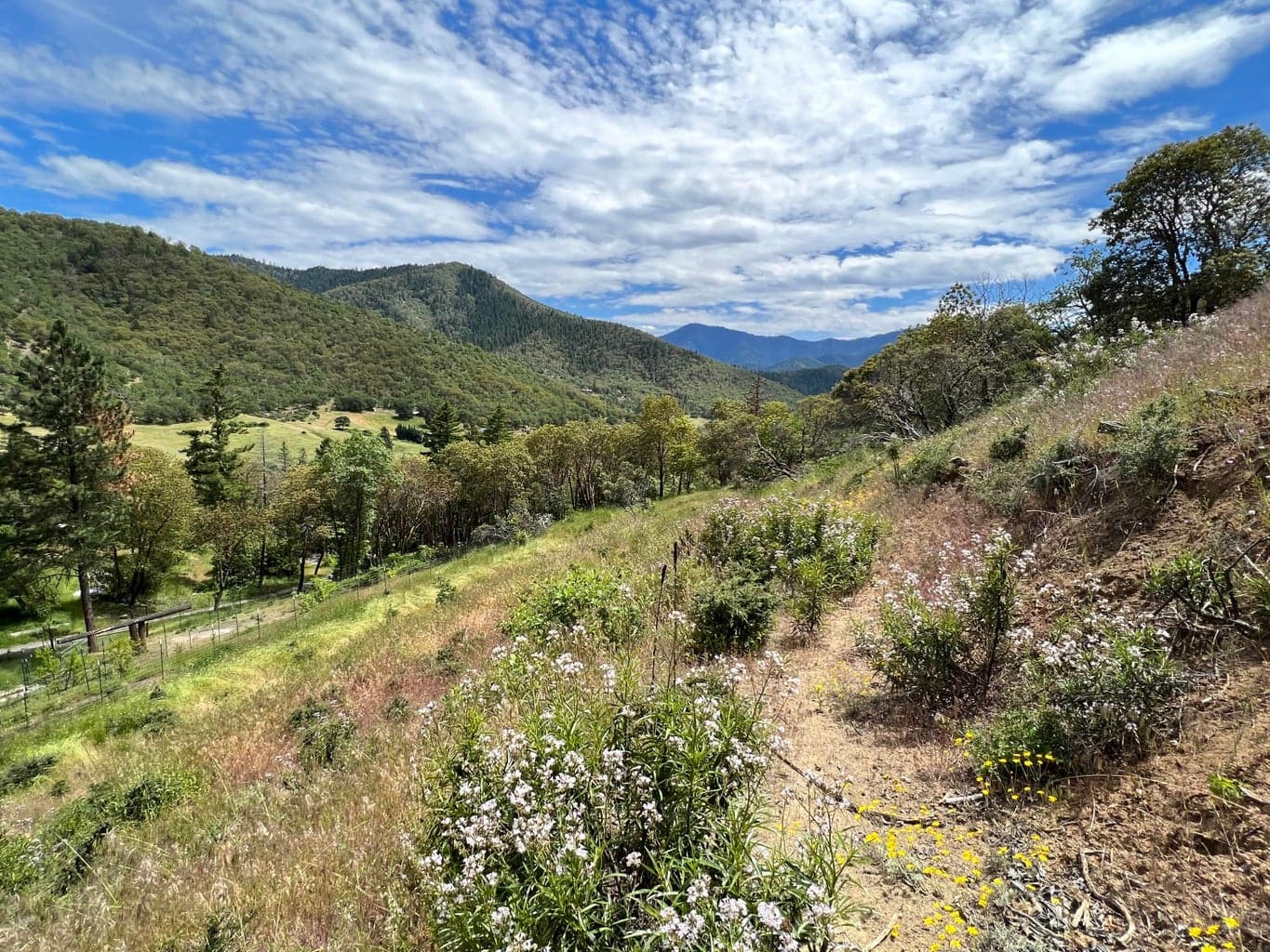 Photo of 2231 Humbug Creek 5 of 80