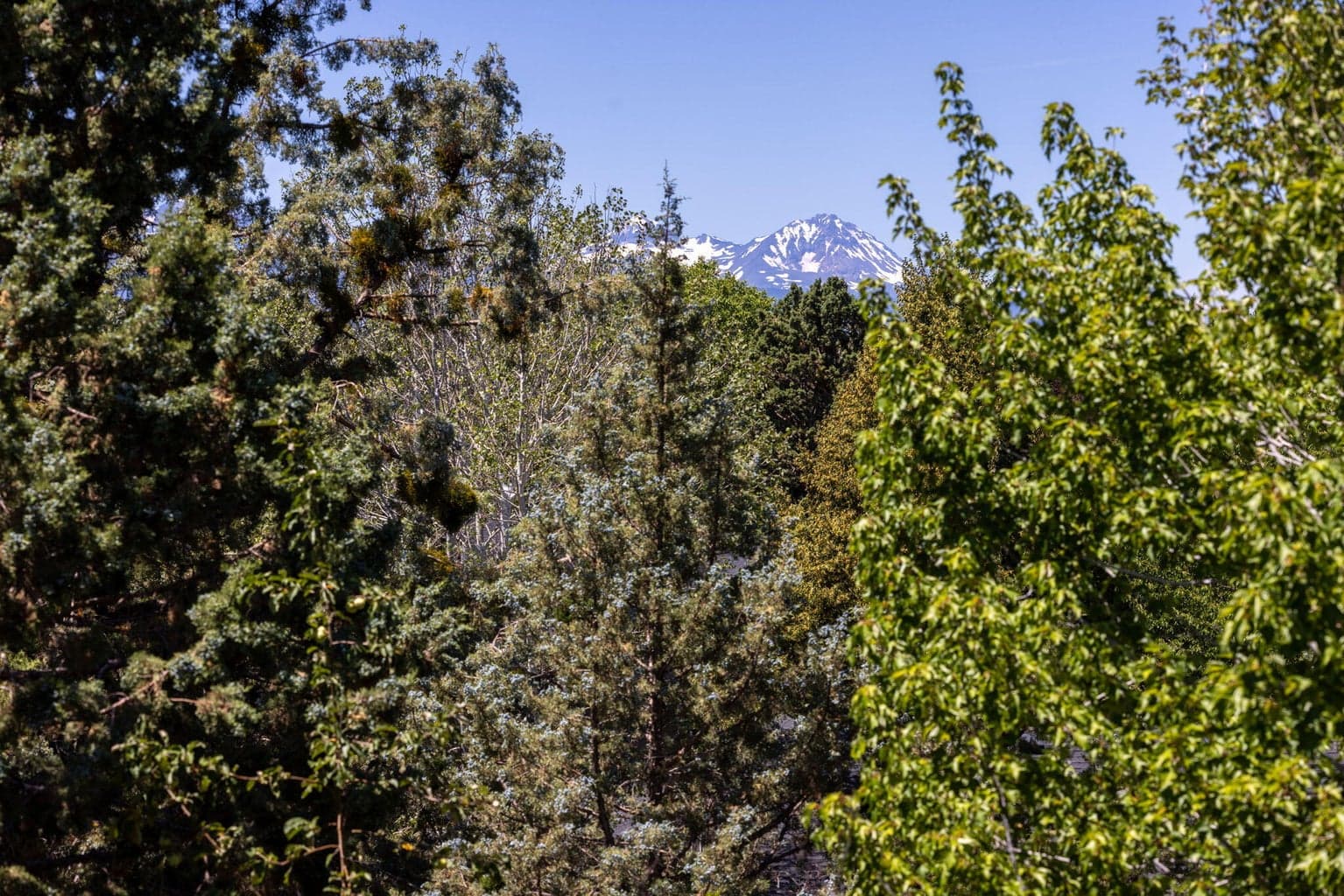 Photo of 63225 NE Eastview Drive 34 of 37
