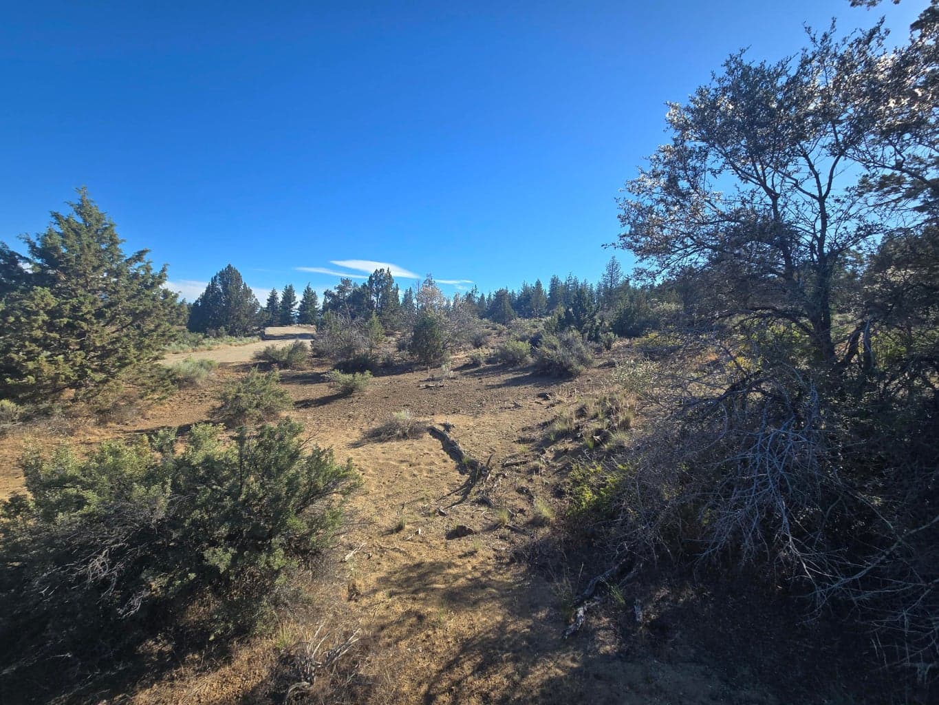 Photo of 0 Sprague River 3 of 16
