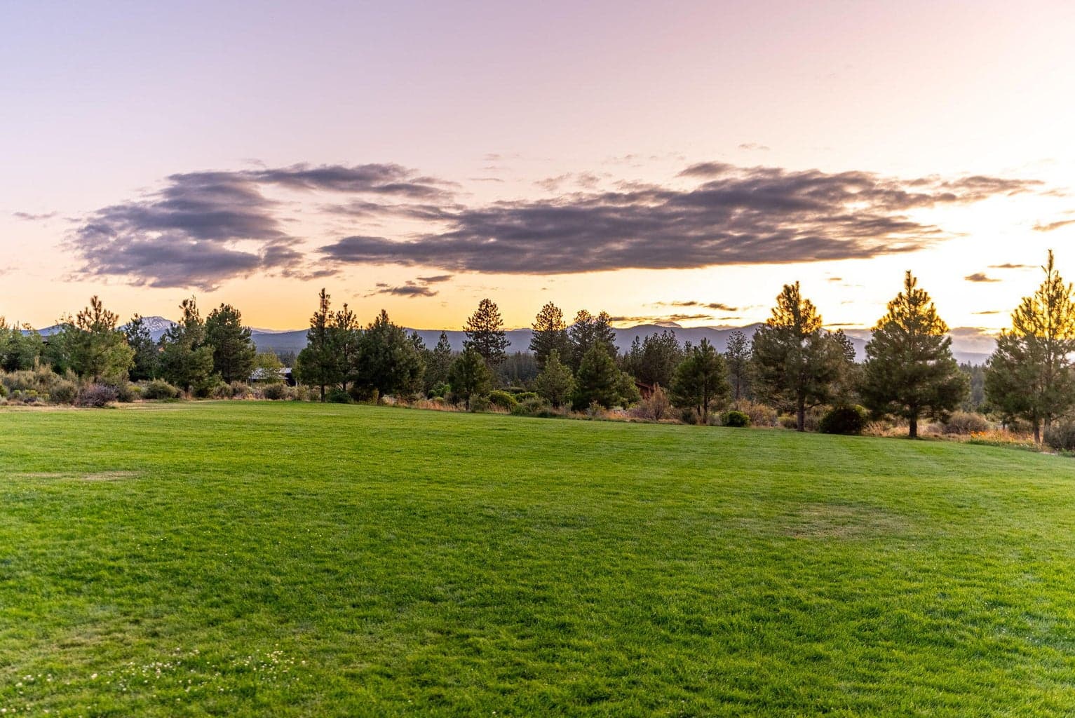 Common space and views by Shevlin Commons Clubhouse.