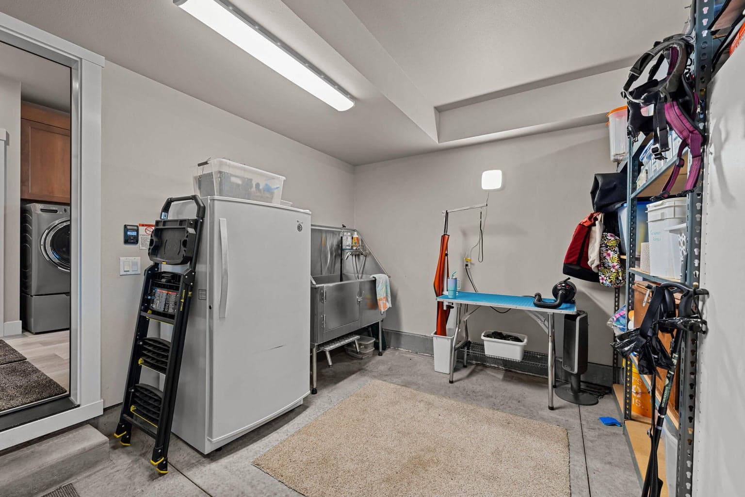 Garage space for dog wash and freezer