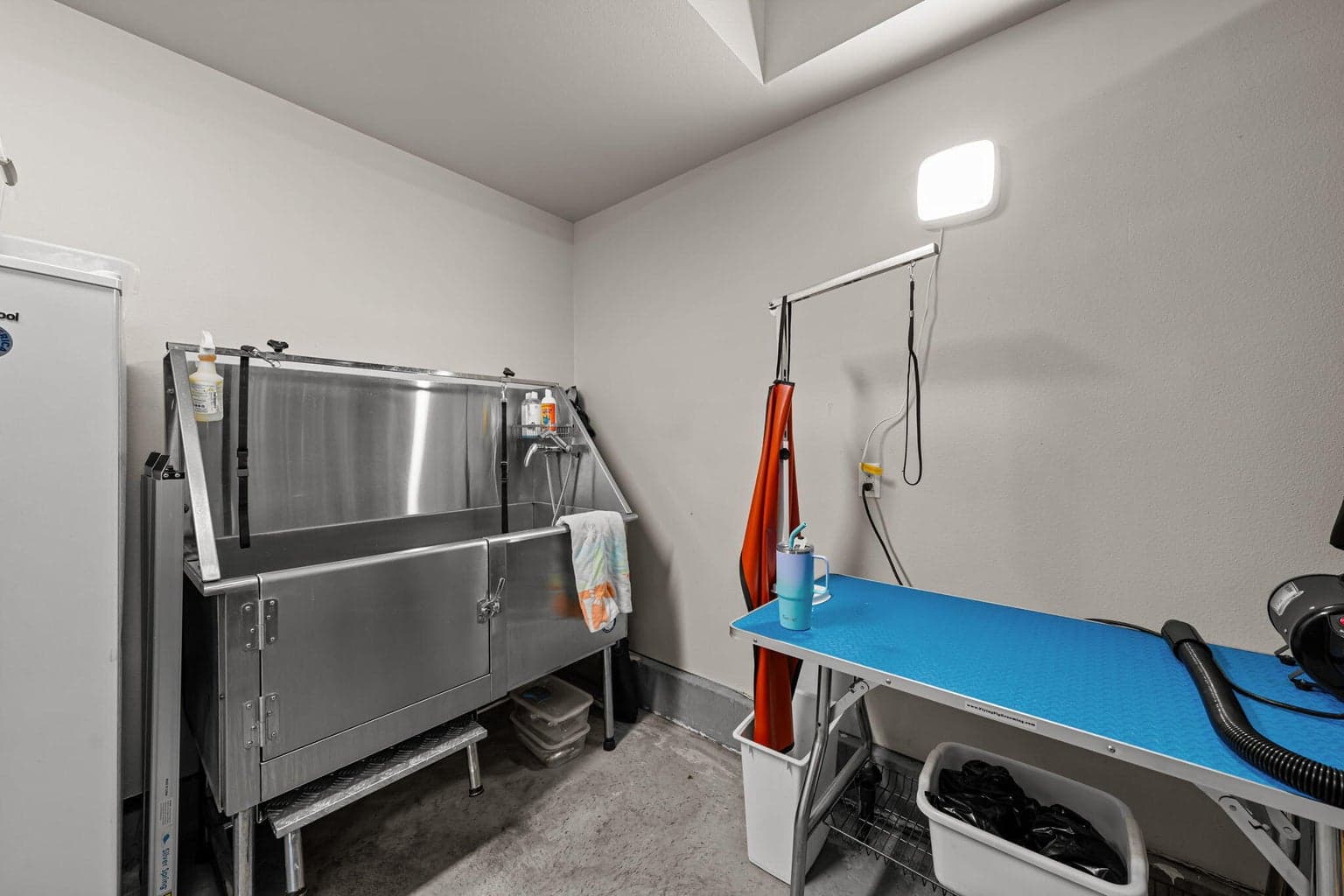 Stainless steel dog wash