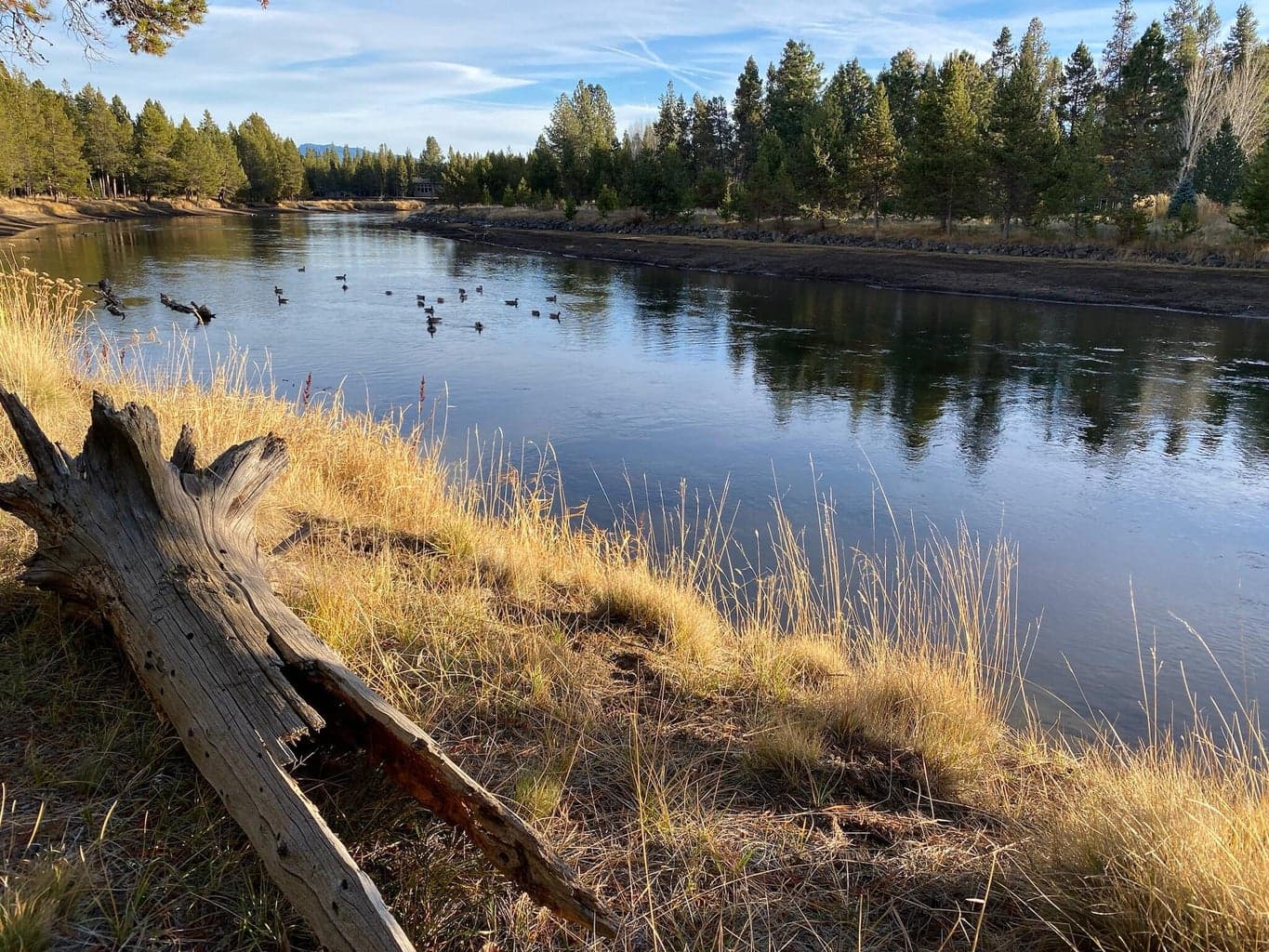 Beautiful river views along the paved trails