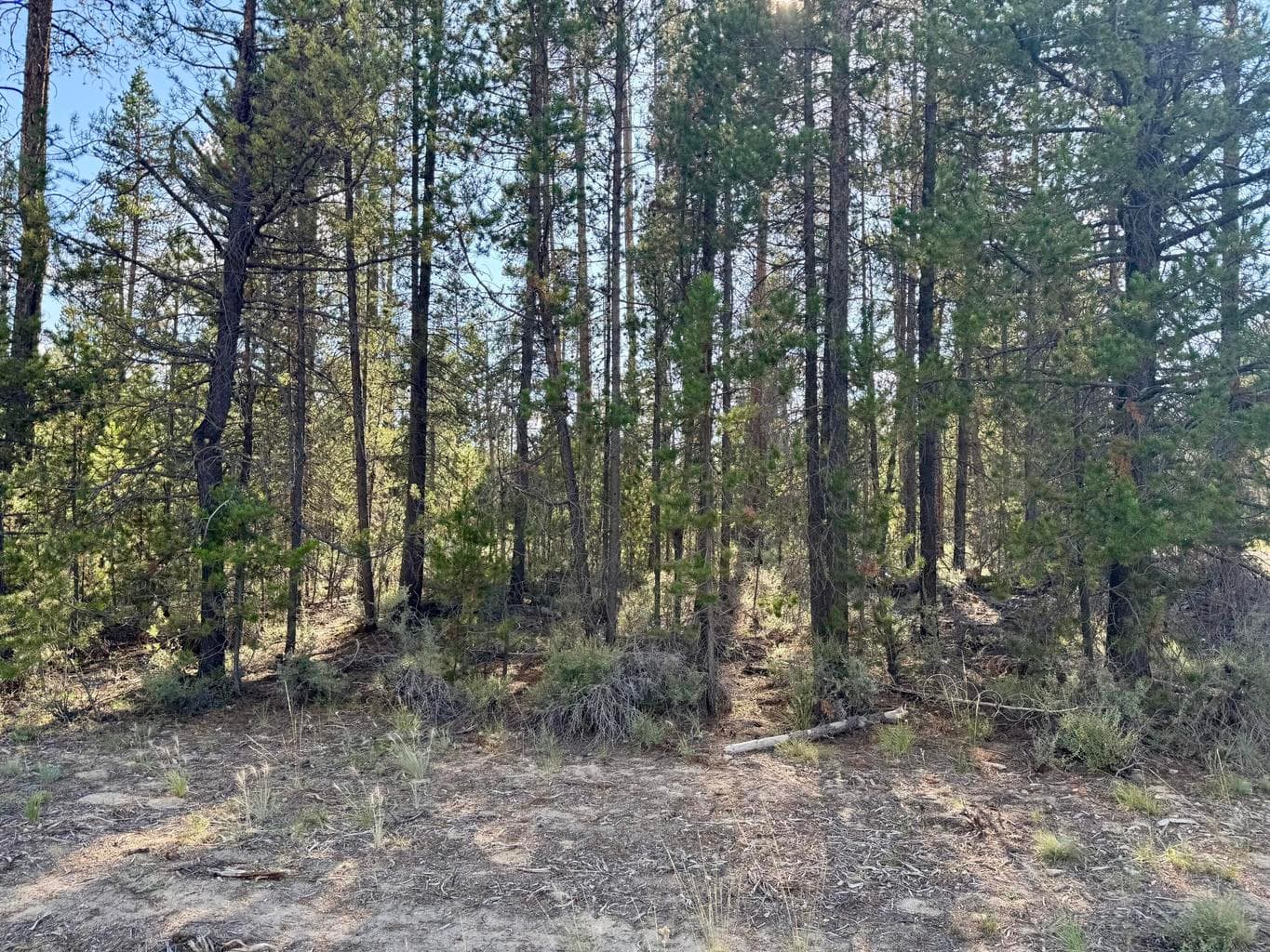 Photo of Jerry Road 3 of 3