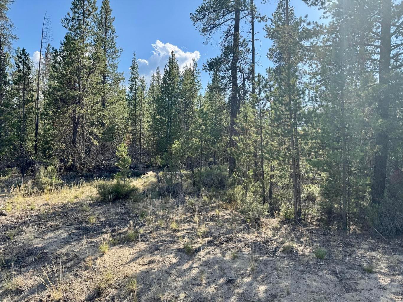 Photo of Jerry Road 2 of 3
