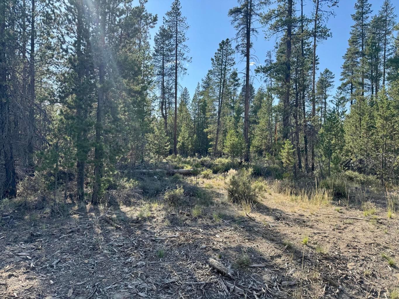 Photo of Jerry Road 3 of 3