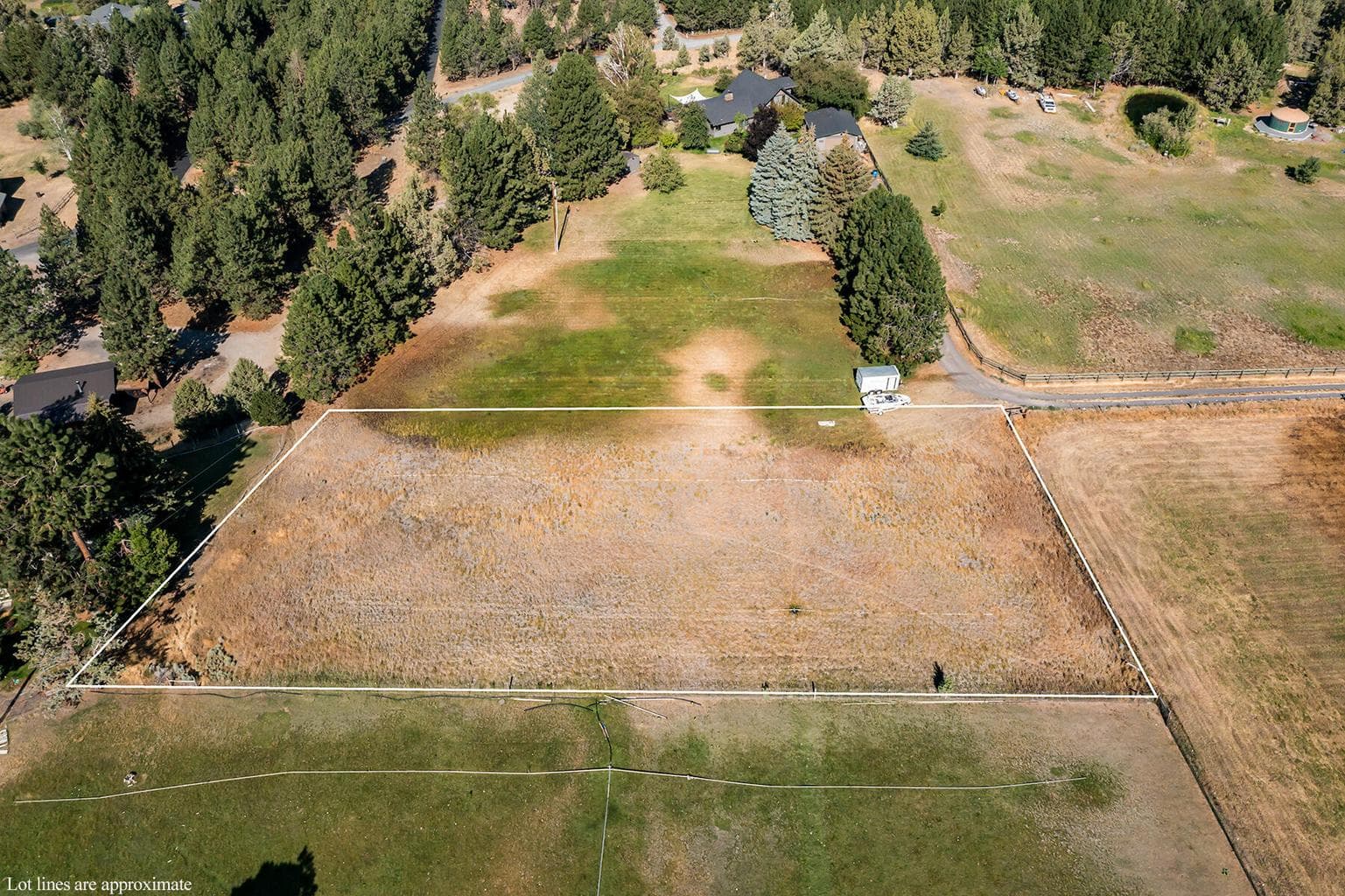 Photo of 65030 Wapiti 2 of 20