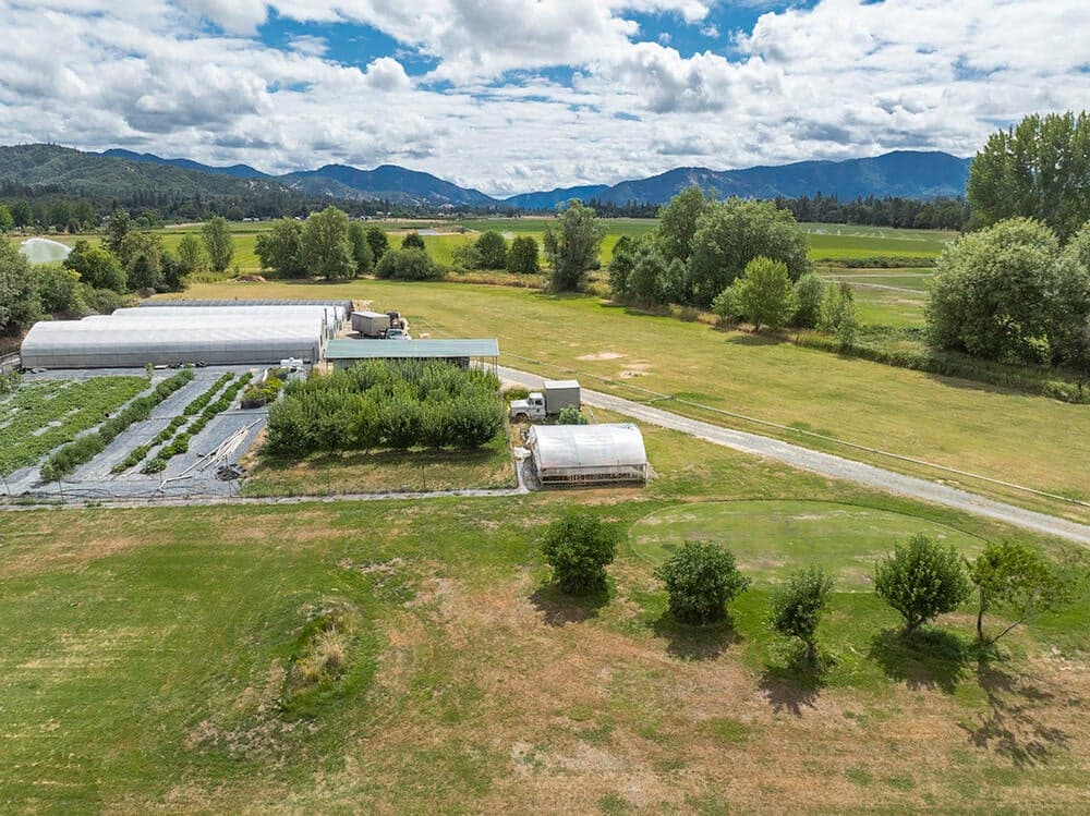 4441 Upper River