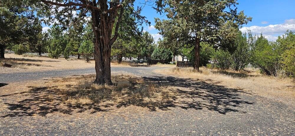 Circular Driveway