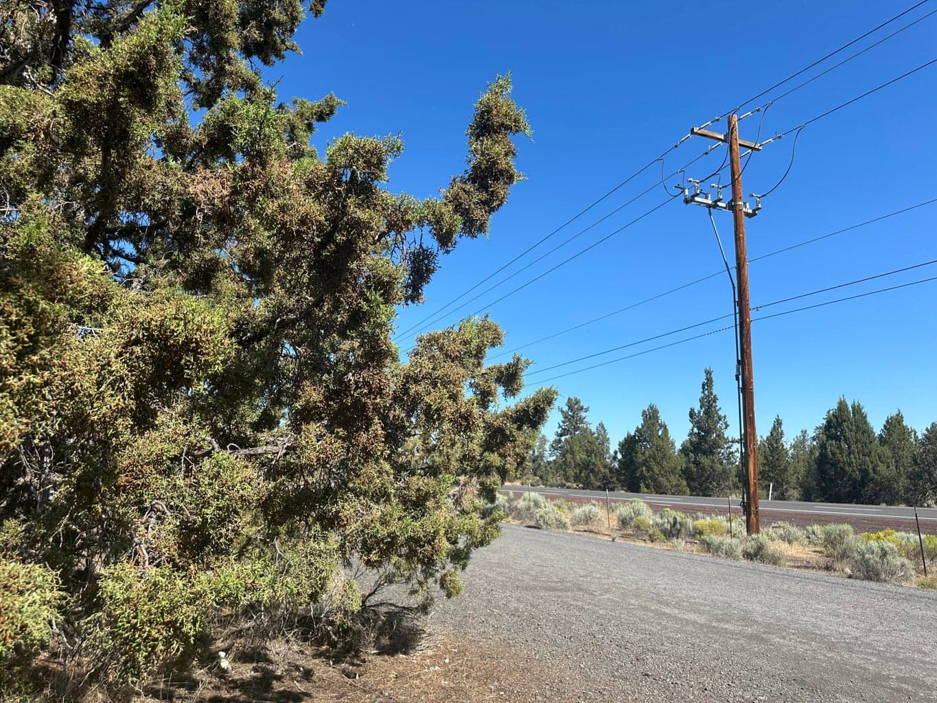 Photo of 66985 Lance Road 11 of 11