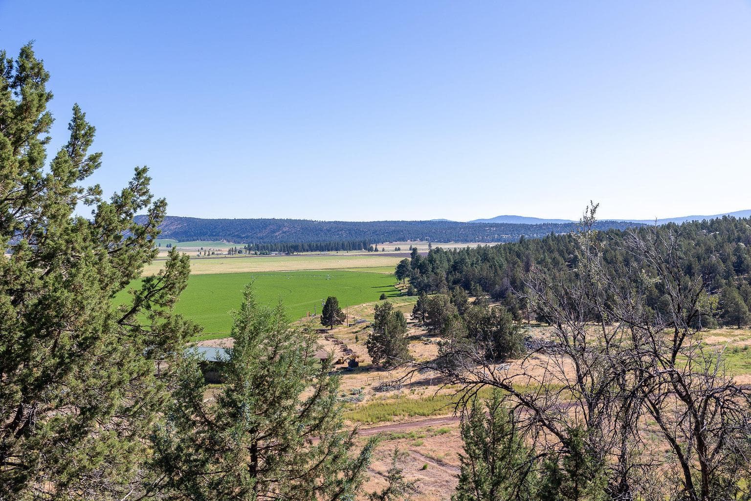 Photo of 18598 Highway 140 4 of 121