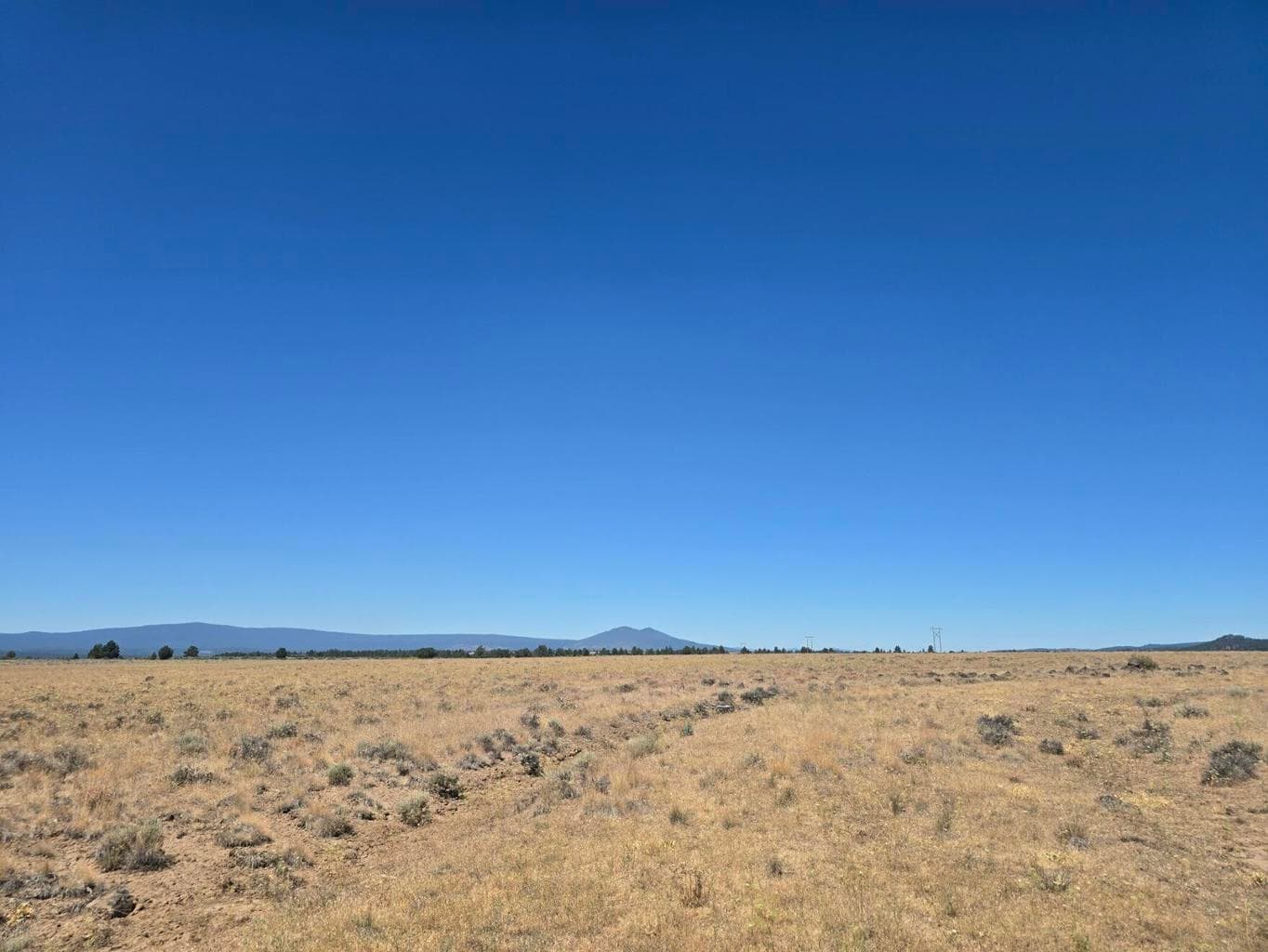 AREA