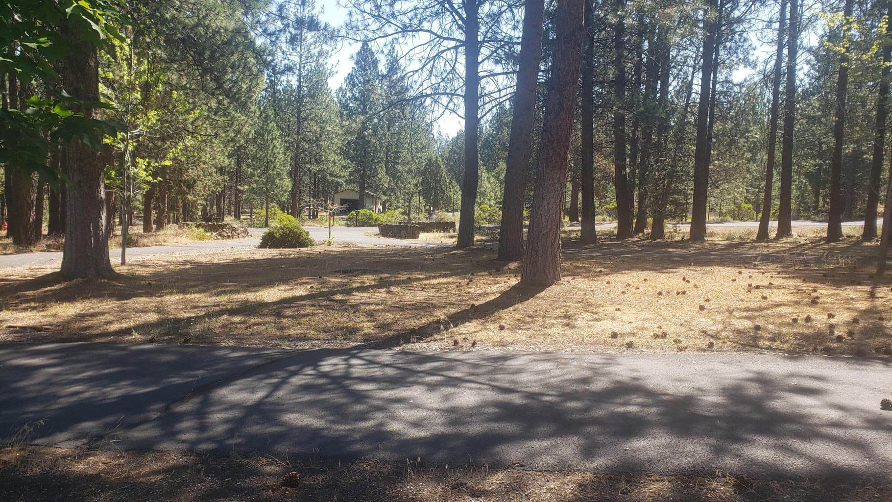 Photo of 60305 Woodside 4 of 36