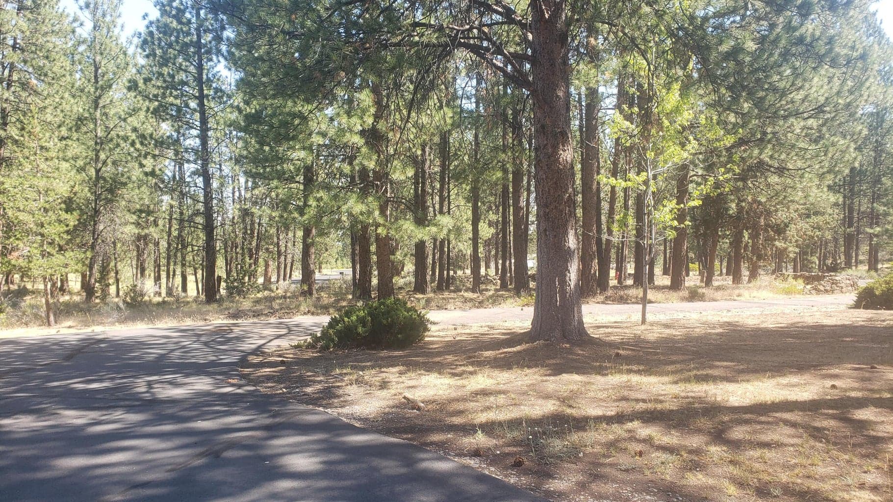Photo of 60305 Woodside 3 of 36