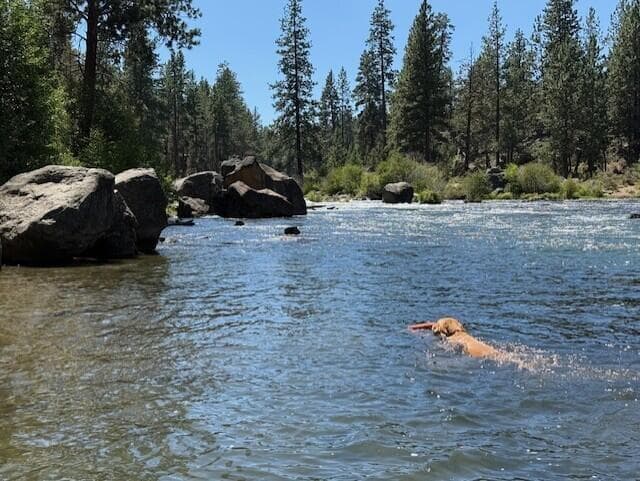 swimming hole