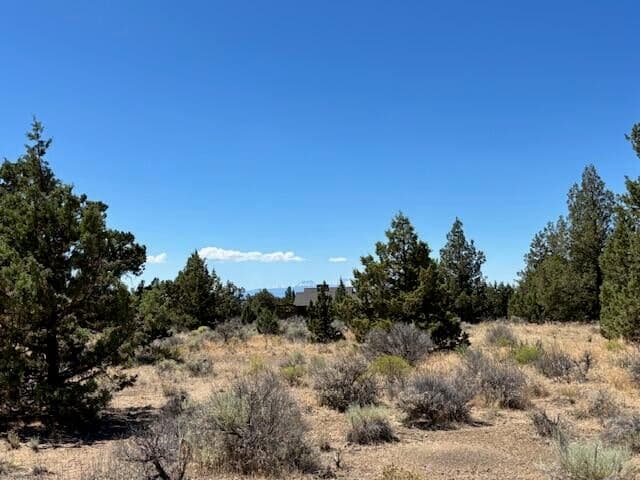 Chaparral, Powell Butte, 97753