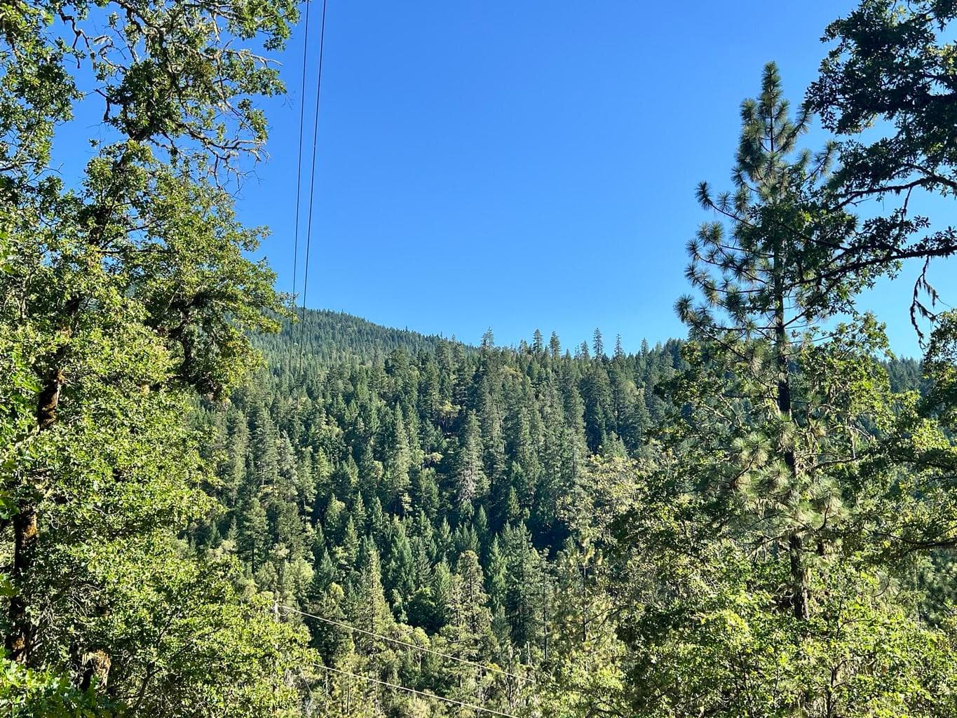 4234 Placer, Wolf Creek, 97497