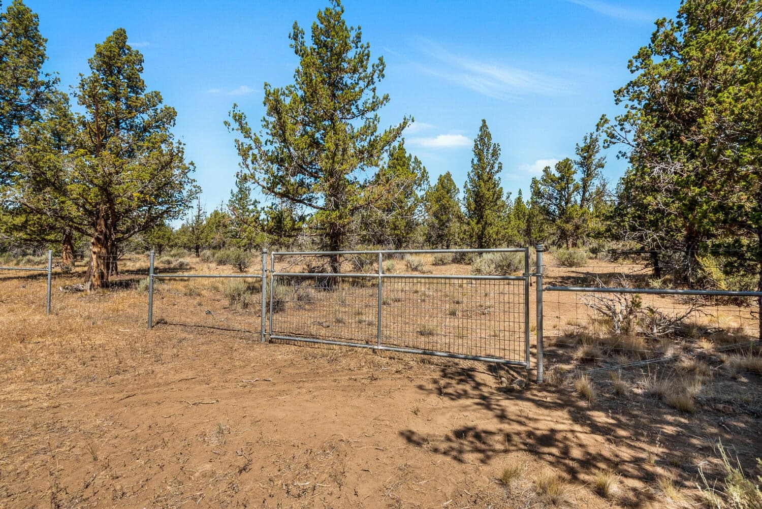 Photo of 18380 Goldcoach Road 34 of 40