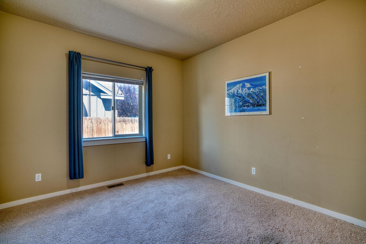 downstairs bedroom /office