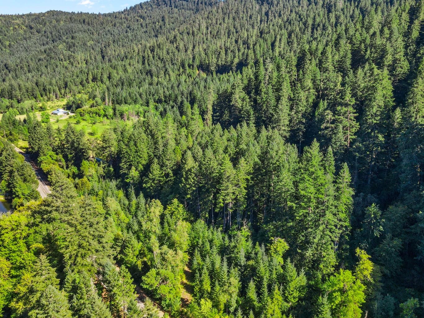 Photo of 0 Mount Reuben 2 of 8