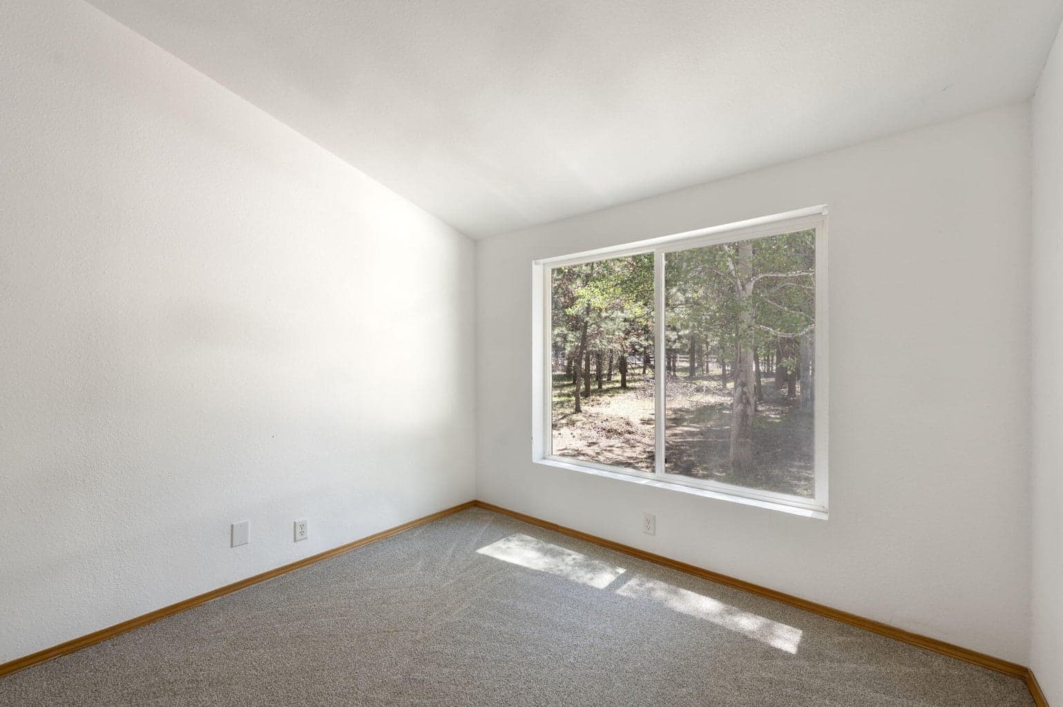 Photo of 15660 Woodgreen Court 15 of 39