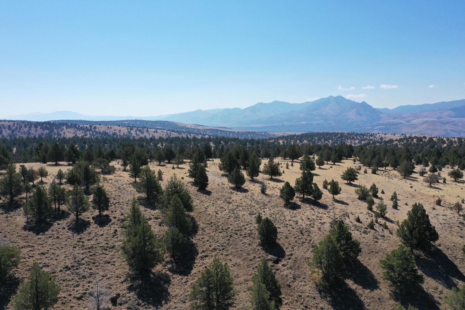 TL 2400 Wiley Creek, Mount Vernon, OR, 97865