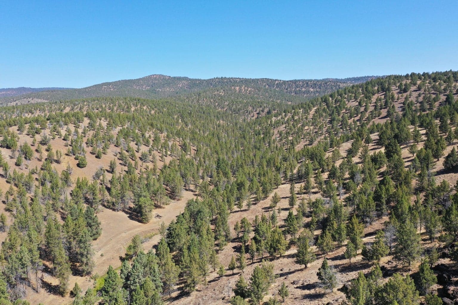Photo of TL 2400 Wiley Creek 2 of 34