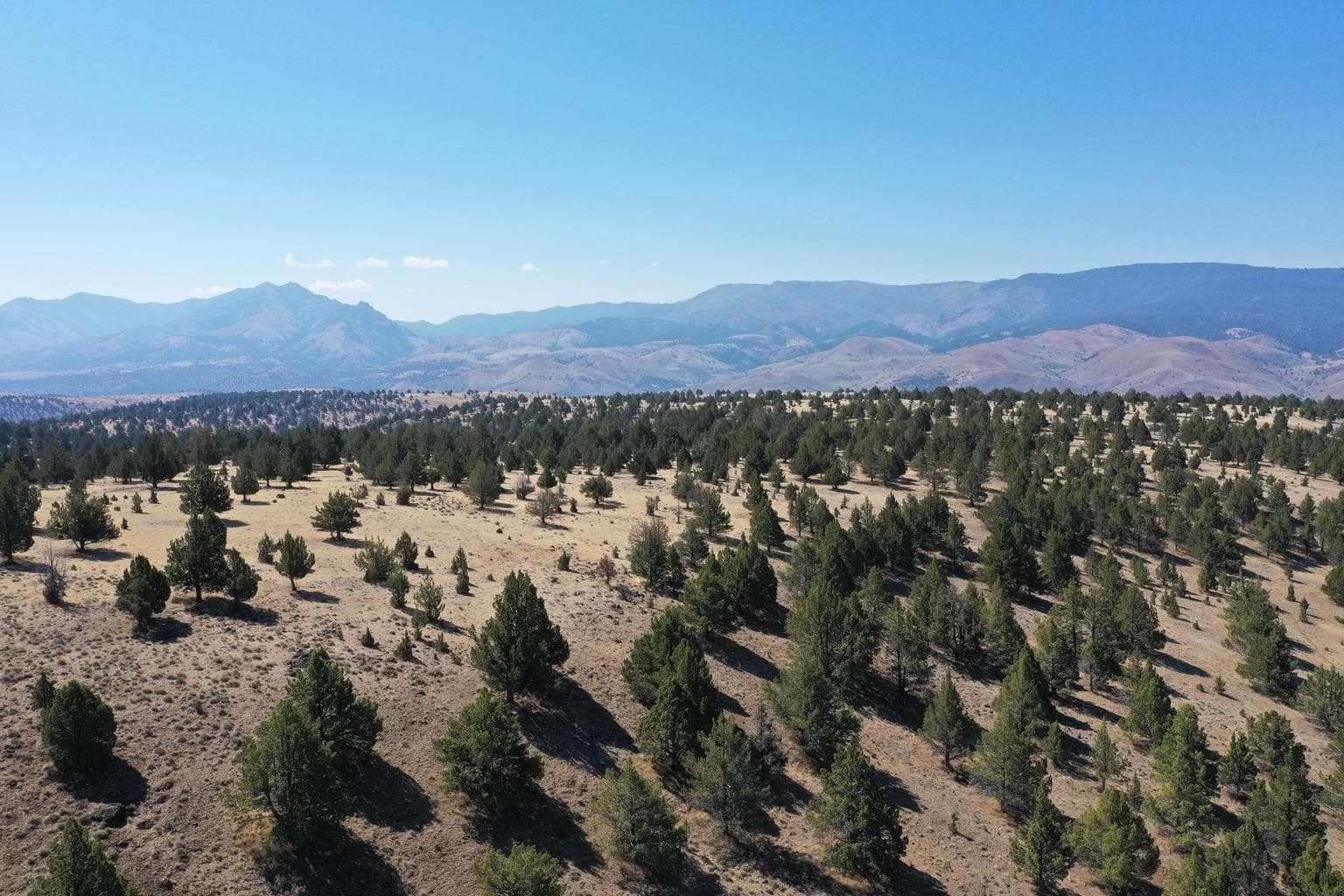 Photo of TL 2400 Wiley Creek 4 of 34