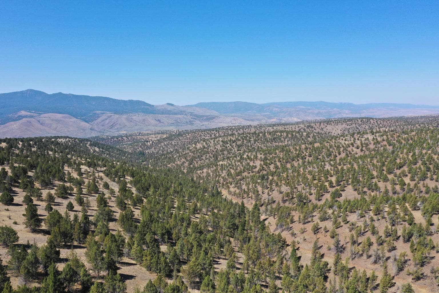 Photo of TL 2400 Wiley Creek 5 of 34