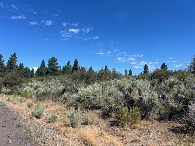 Photo of Wrightwood 3 of 3