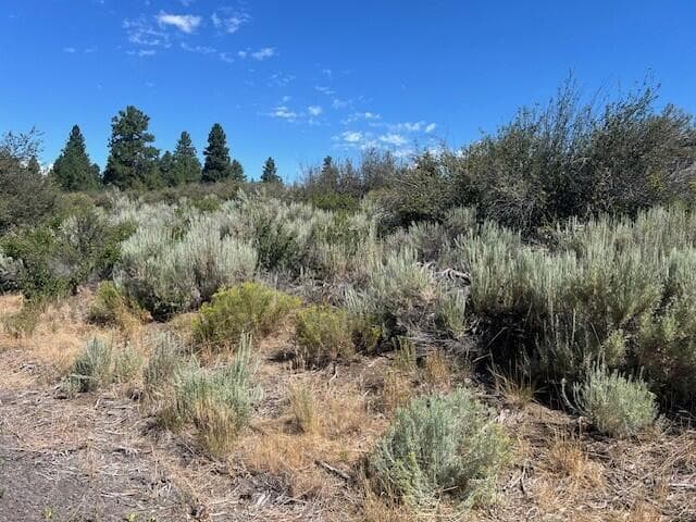 Wrightwood