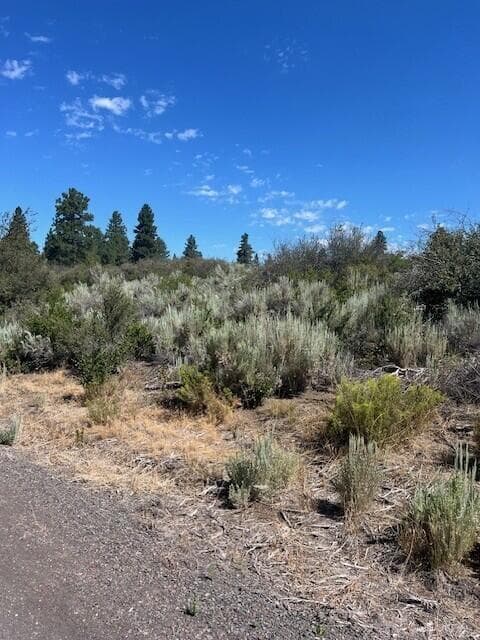 Wrightwood